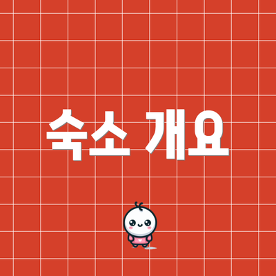 숙소 개요