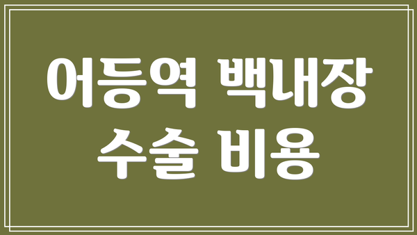 어등역 백내장 수술 비용