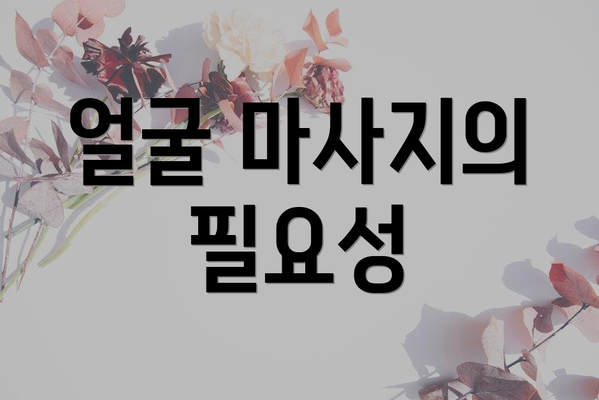 얼굴 마사지의 필요성