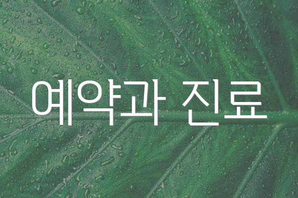 예약과 진료