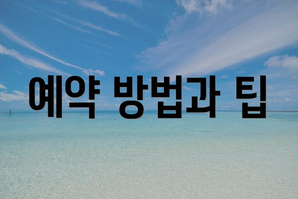예약 방법과 팁