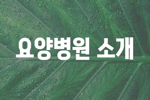 요양병원 소개