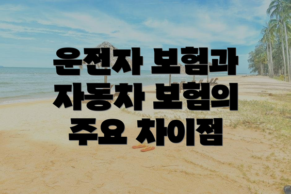 운전자 보험과 자동차 보험의 주요 차이점