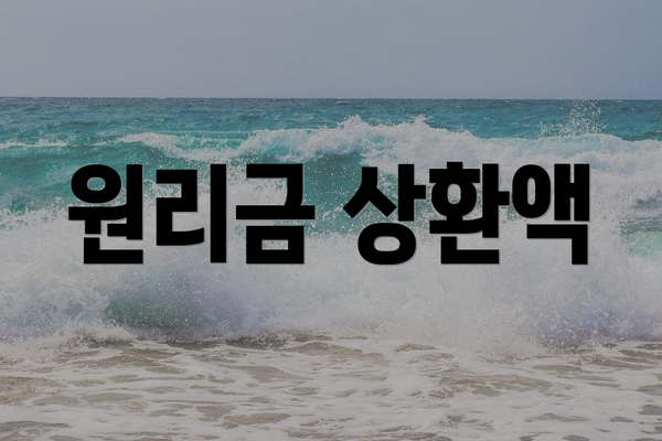 원리금 상환액