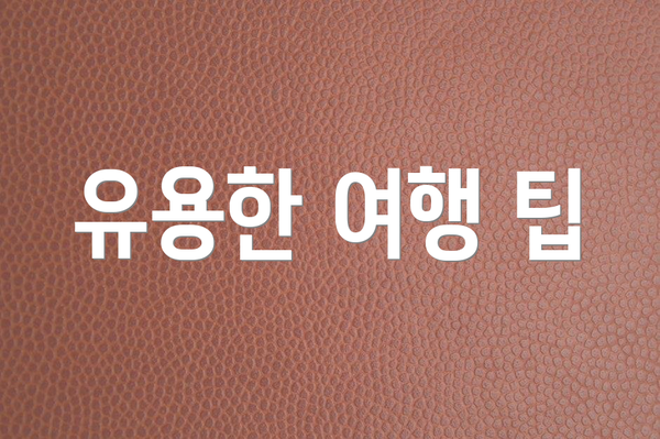 유용한 여행 팁