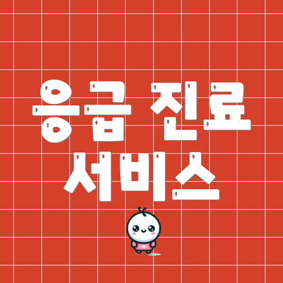 응급 진료 서비스