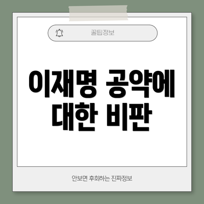 이재명 공약에 대한 비판