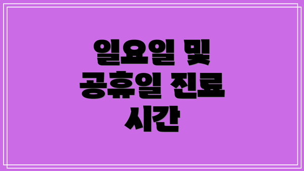 일요일 및 공휴일 진료 시간