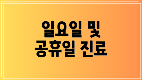 일요일 및 공휴일 진료