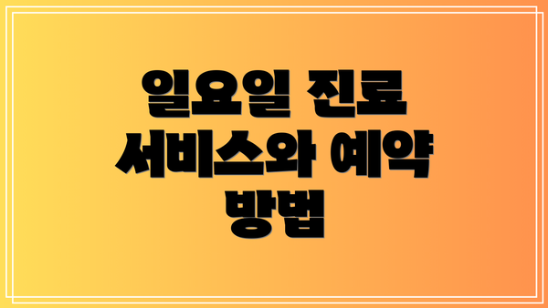 일요일 진료 서비스와 예약 방법