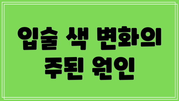 입술 색 변화의 주된 원인