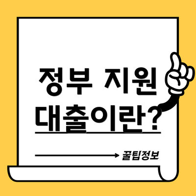 정부 지원 대출이란?