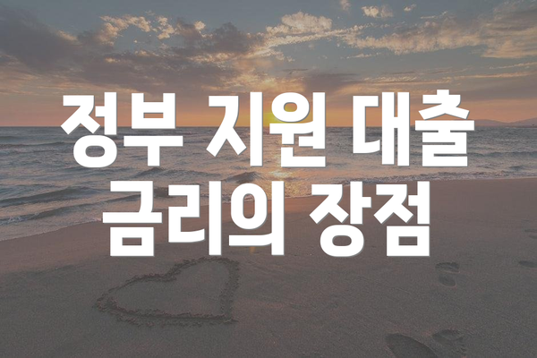 정부 지원 대출 금리의 장점