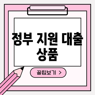 정부 지원 대출 상품