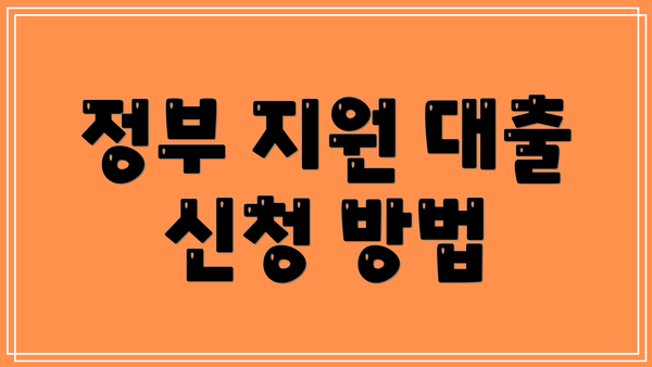 정부 지원 대출 신청 방법