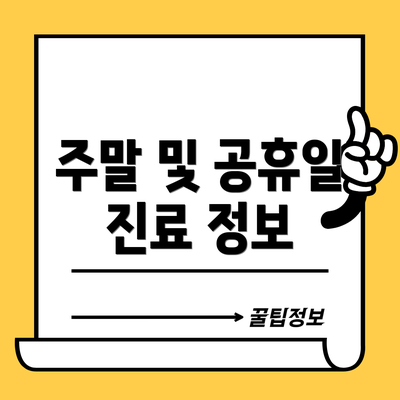 주말 및 공휴일 진료 정보