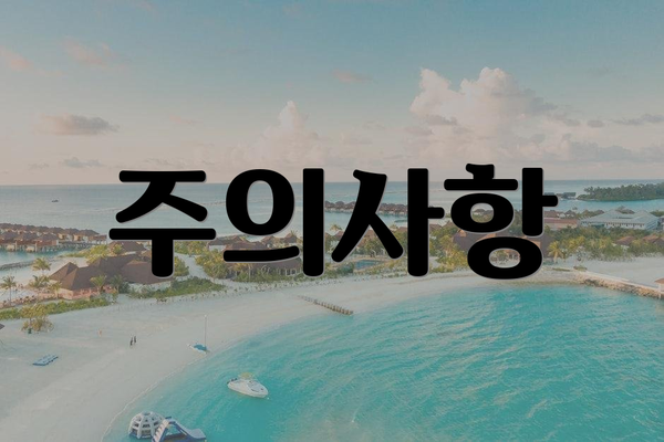 주의사항