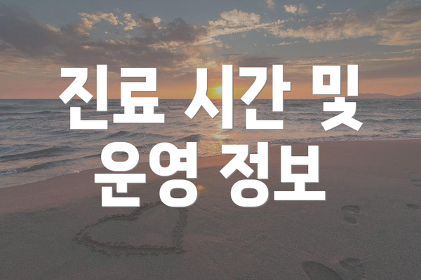 진료 시간 및 운영 정보
