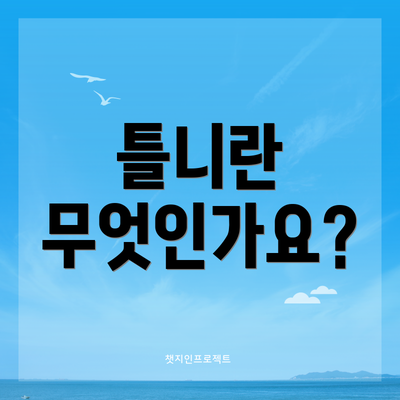 틀니란 무엇인가요?