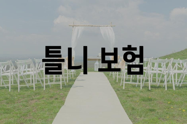 틀니 보험