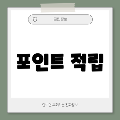 포인트 적립
