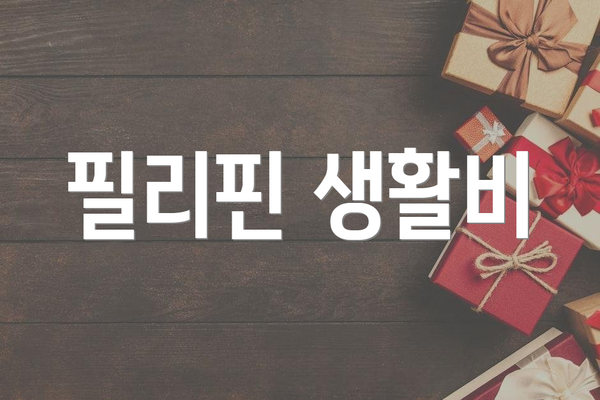 필리핀 생활비