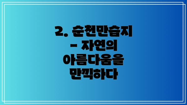 2. 순천만습지 - 자연의 아름다움을 만끽하다