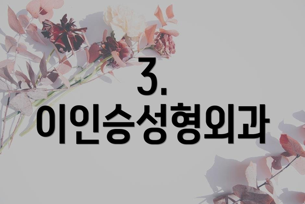 3. 이인승성형외과