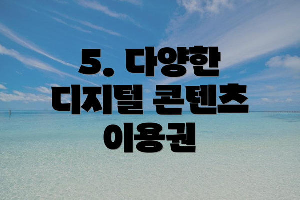 5. 다양한 디지털 콘텐츠 이용권