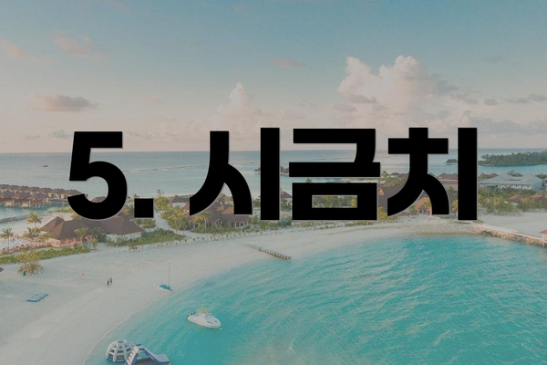 5. 시금치