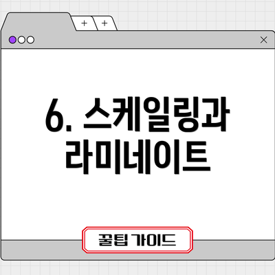 6. 스케일링과 라미네이트