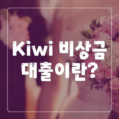 Kiwi 비상금 대출이란?