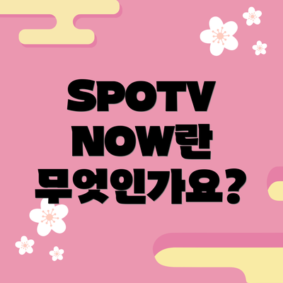 SPOTV NOW란 무엇인가요?